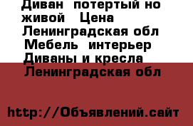 Диван, потертый но  живой › Цена ­ 1 000 - Ленинградская обл. Мебель, интерьер » Диваны и кресла   . Ленинградская обл.